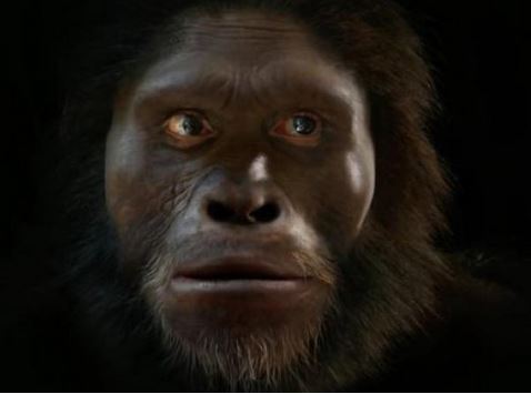 出典:YouTube(Mammoth)