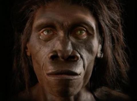 出典:YouTube(Mammoth)