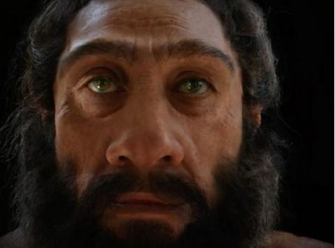 出典:YouTube(Mammoth)