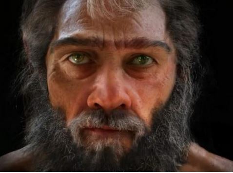 出典:YouTube(Mammoth)