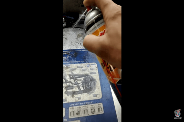 出典:YouTube(ViralHog )