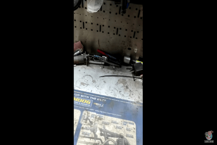 出典:YouTube(ViralHog )