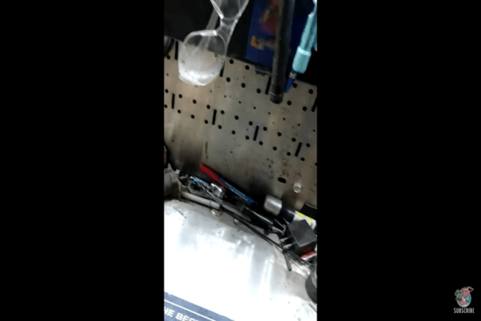 出典:YouTube(ViralHog )