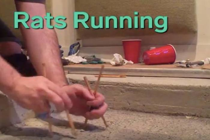 出典：YouTube（INSIDER）