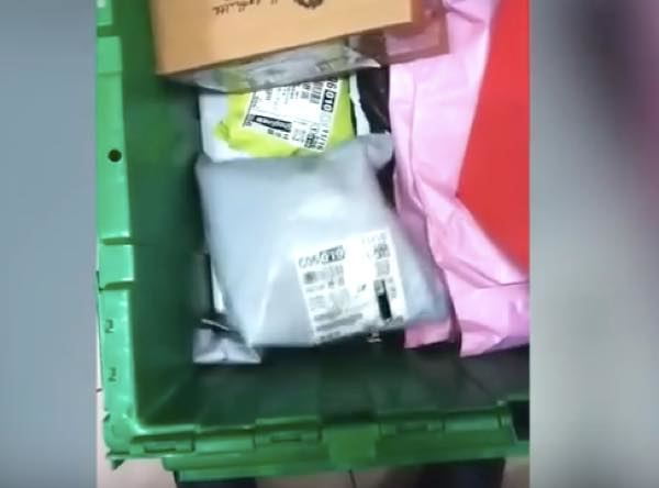 出典:YouTube(Viral Press)