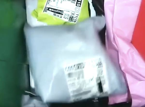 出典:YouTube(Viral Press)