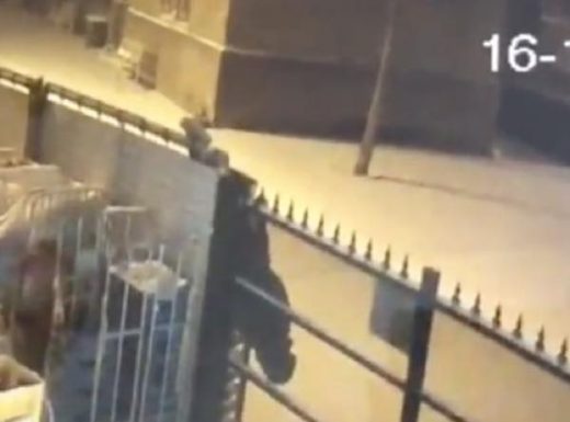 出典：YouTube（Caters Clips）