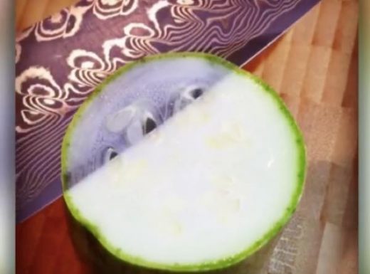 出典:YouTube(Caters Clips)