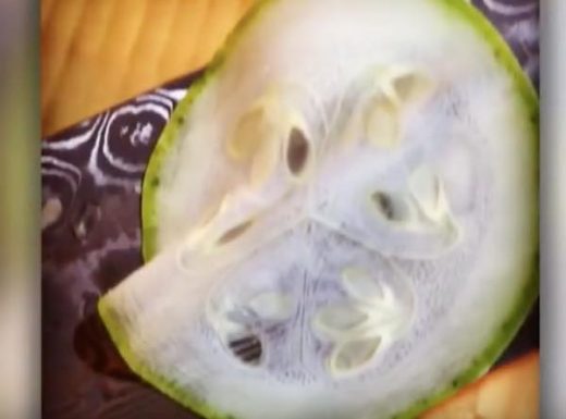 出典:YouTube(Caters Clips)