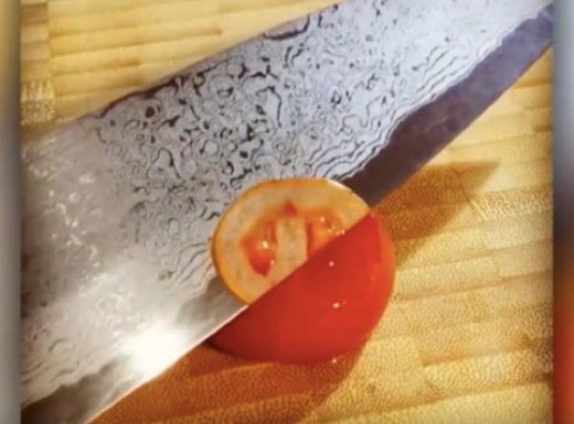 出典:YouTube(Caters Clips)