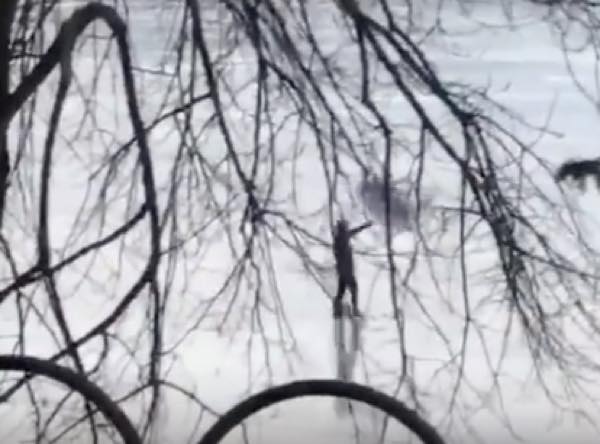  出典：YouTube（Storyful Rights Management）