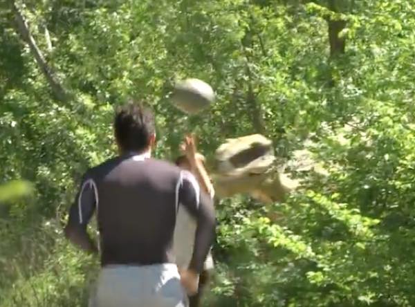 出典：YouTube（Remi GAILLARD）