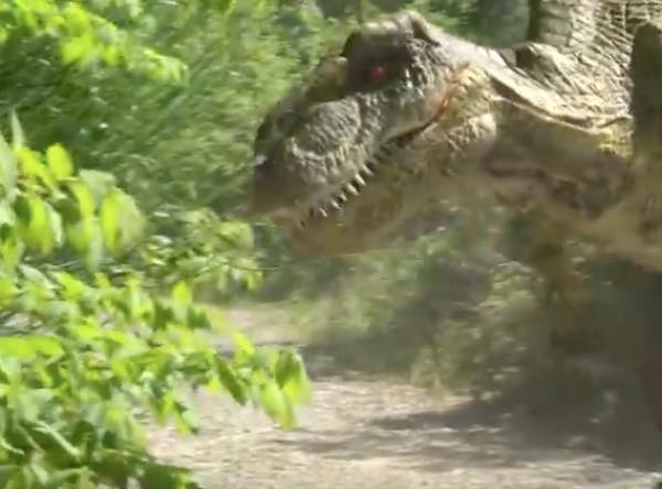 出典：YouTube（Remi GAILLARD）