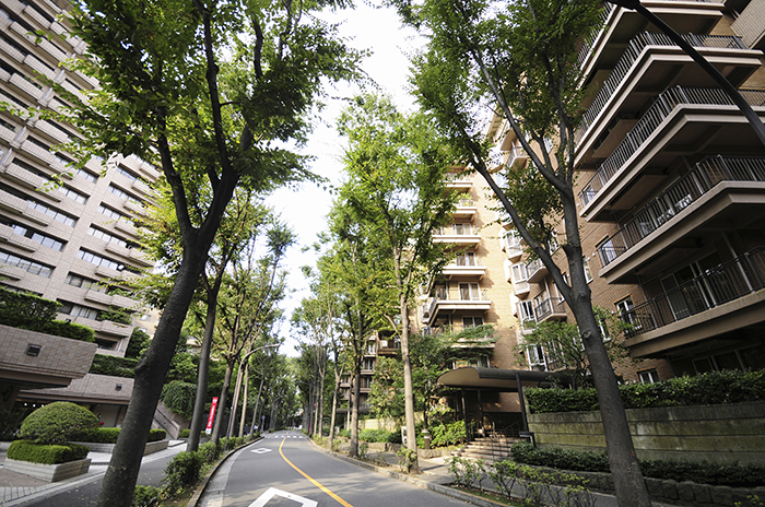 shutterstock_211051561