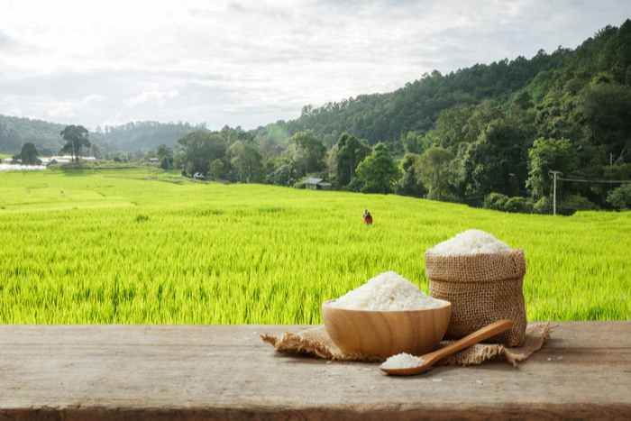 美味しい新米が届く、10万円以下で買える株主優待銘柄　5選【株主優待到着レポ】