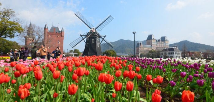 200313Huis Ten Bosch_eye