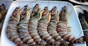 shutterstock_764667658