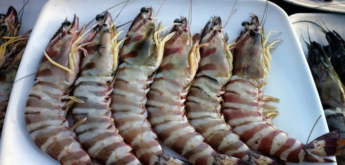 shutterstock_764667658