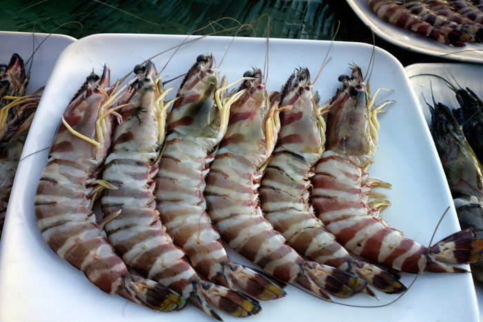 また中国発ウイルス。エビの致死率80％超えに「値上がりしそう」の声