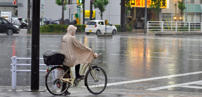 shutterstock_1763631062