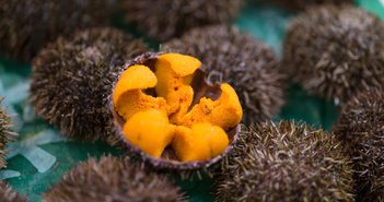 shutterstock_773282830