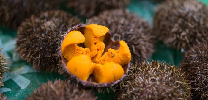 shutterstock_773282830