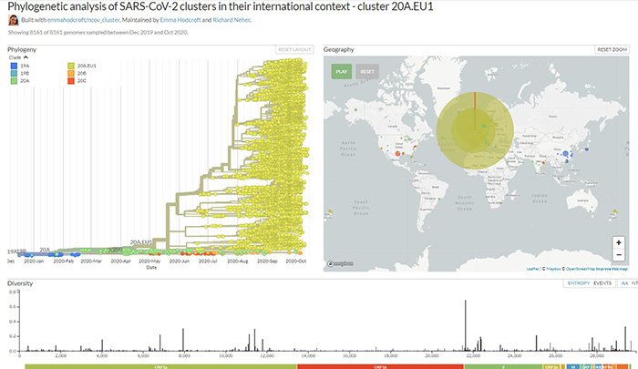 出典：Phylogenetic analysis of SARS-CoV-2 clusters in their international context - cluster 20A.EU1 - Nextstrain
