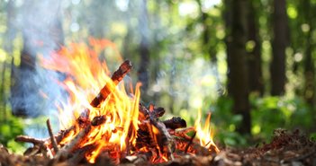 shutterstock_102378874