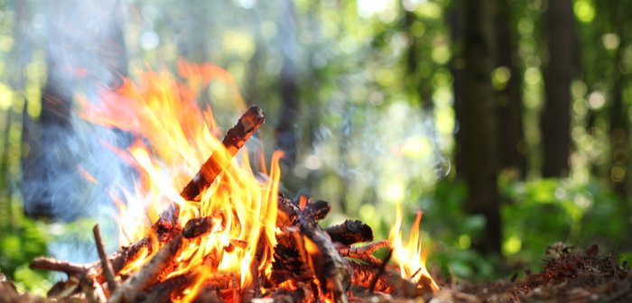 shutterstock_102378874