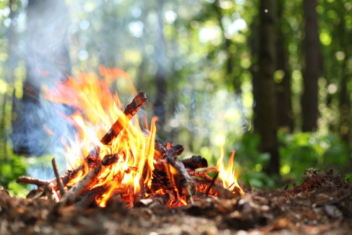 日産のキャンプ女子コラボ動画「枯れ葉の上で焚き火」が大炎上。迷惑キャンパーへの不満噴出