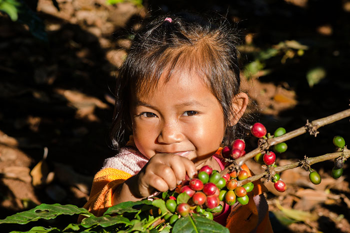 コーヒー豆の高騰で稼ぐ「相場廃人」の行動パターンとは？勝負は初動の前に決まる