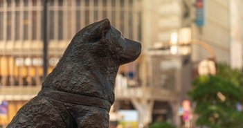 shutterstock_1178485039