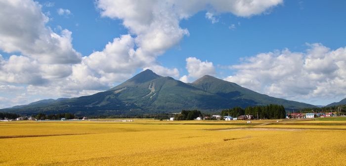 shutterstock_2018419688