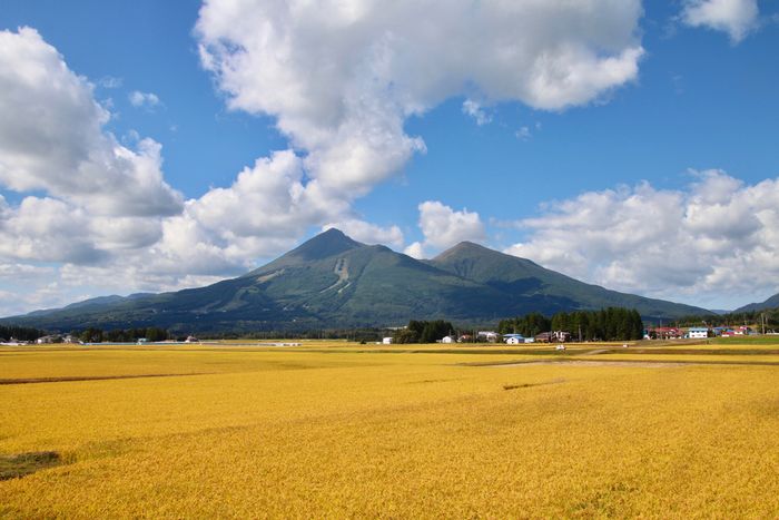 風評被害“完全払拭”の契機に？米国が福島産食材の輸入停止措置を撤廃。菅政権の評価がまたもや爆上がりも背景には「米中貿易戦争」との見方も