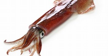 shutterstock_1708000936