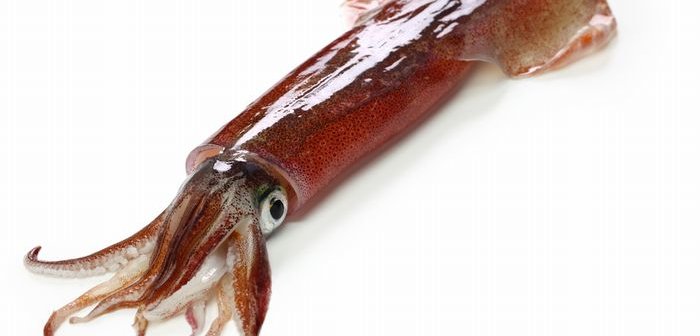 shutterstock_1708000936