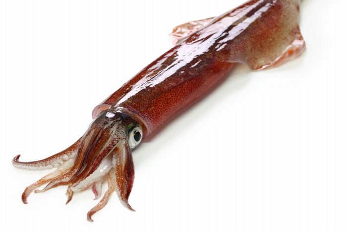 自治体へのコロナ交付金“6兆円おかわり”で、日本中が「巨大イカ」の二番煎じだらけに？本当に困っている人には届かない政府の支援策