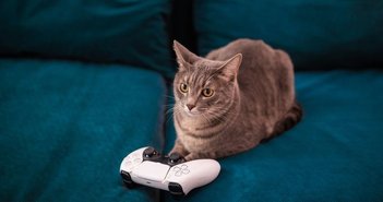 shutterstock_1863963952