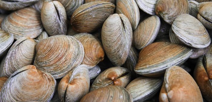 shutterstock_752443573