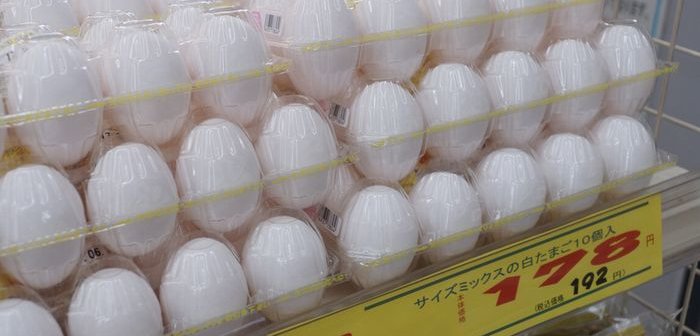 shutterstock_1447972100