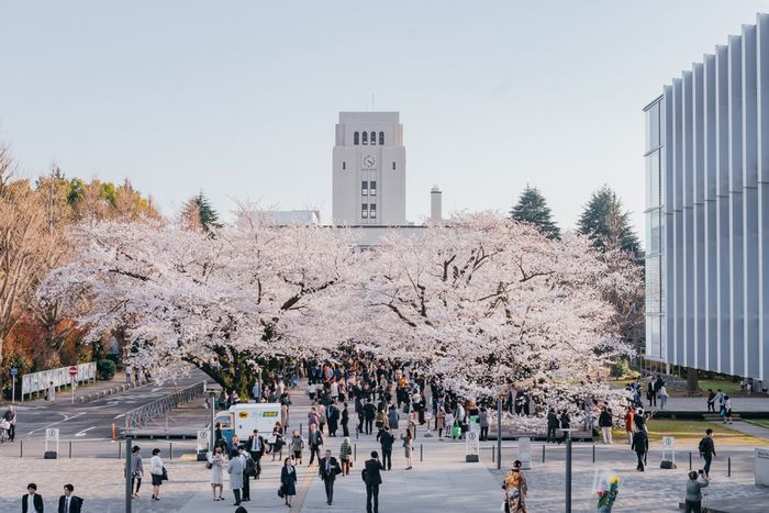 私大の初期費用、過去最高の平均225万円に。政府肝煎りの修学支援新制度の対象拡大も“絵に描いた餅”で貧困で学びを奪われる若者が続出か