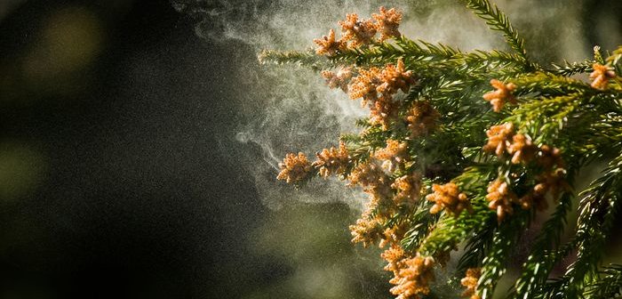 shutterstock_378133468