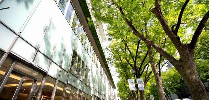 shutterstock_2312397935