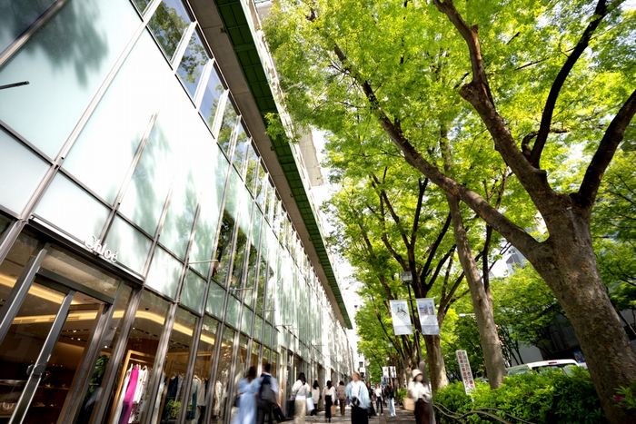 表参道のタワマン都営住宅、築浅・2DKが6万2000円で応募殺到。“昭島レベル”低家賃での都心生活に集まる羨望と「実際、生活できるの？」という怨嗟の視線