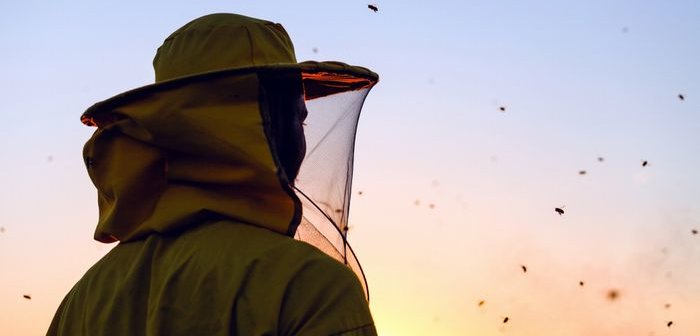 shutterstock_1071038048