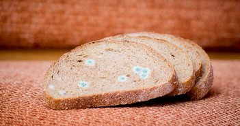 shutterstock_1184858545