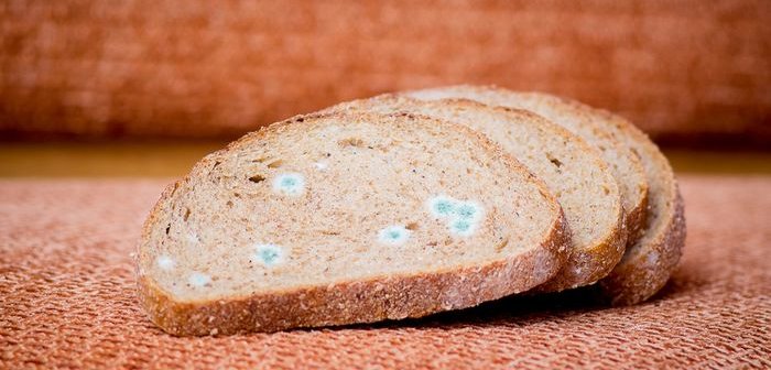 shutterstock_1184858545