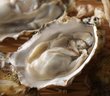 「牡蠣フェス」集団食中毒で改めて取沙汰されるノロウイルスの恐怖。いっぽう“あたらない牡蠣”の開発も着々進行中も本格流通はまだ先？