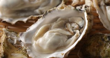 Grilled,Oysters,With,Shells,In,Butter,And,Soy,Sauce