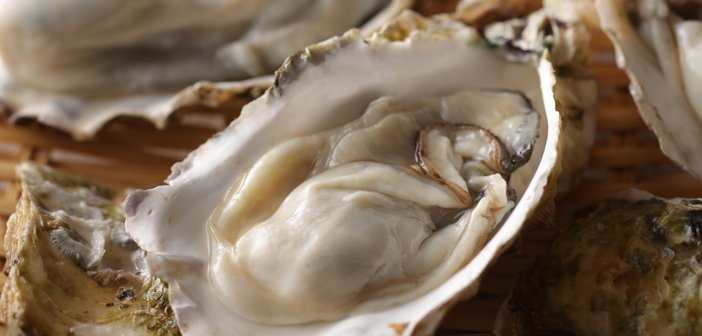 Grilled,Oysters,With,Shells,In,Butter,And,Soy,Sauce
